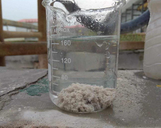 �۱�ϩ����