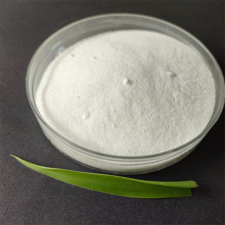 �۠�۱�ϩ����