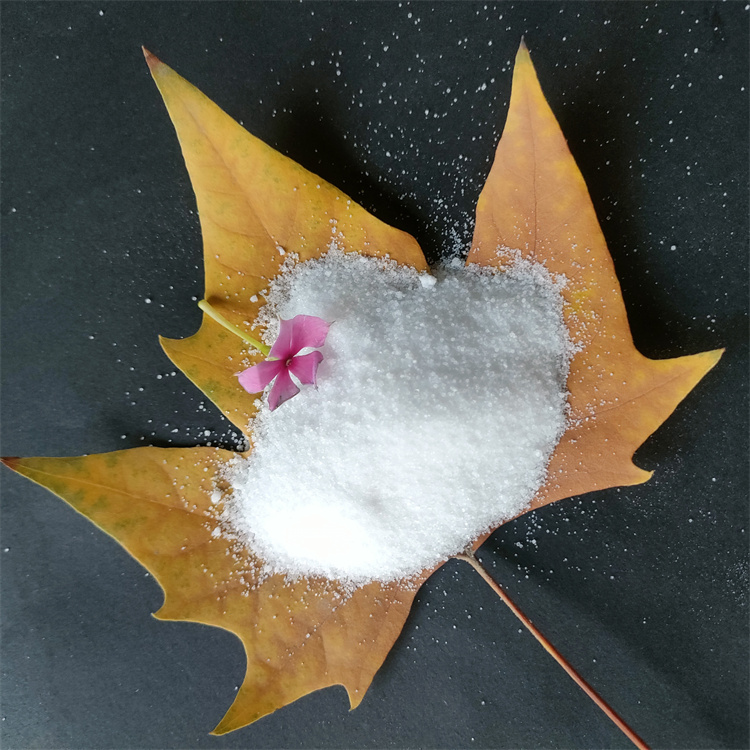 �۱�ϩ����