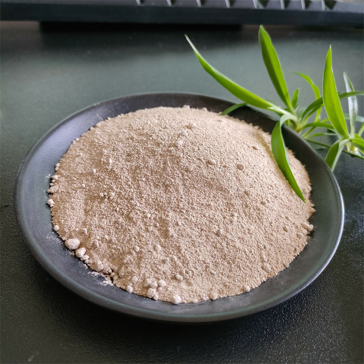 �������DƬ